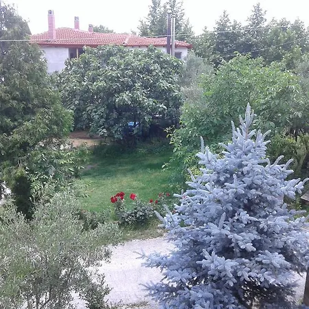 Apartament Adonis