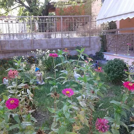 Adonis Káto Loutrákion